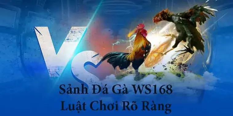 Hướng Dẫn Cách Chơi Đá Gà WS168 Tại Vui88 Thắng Lớn Cực Đơn Giản