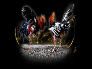 Bật Mí Cách Chơi Đá Gà Sabong Tại Vui88 Đỉnh Cao Thu Lời Tiền Tỷ