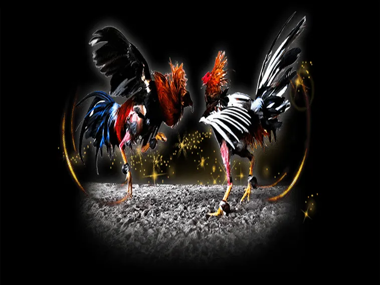 Bật Mí Cách Chơi Đá Gà Sabong Tại Vui88 Đỉnh Cao Thu Lời Tiền Tỷ