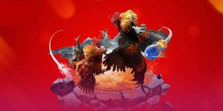 Trải Nghiệm Sảnh Cược Đá Gà Vui88 Uy Tín Đẳng Cấp Số Một Thị Trường