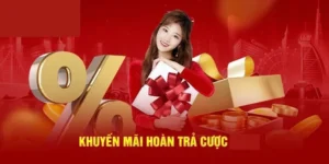 Hoàn Trả Không Giới Hạn Tại Nhà Cái Vui88 Cơ Hội Bảo Toàn Vốn Cực Đỉnh