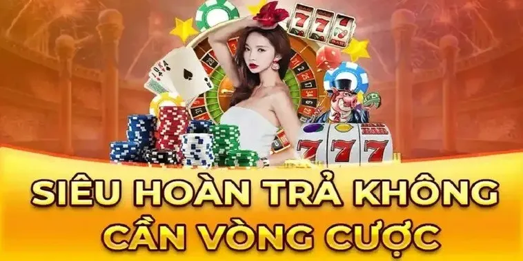 Hoàn Trả Không Giới Hạn Tại Nhà Cái Vui88 Cơ Hội Bảo Toàn Vốn Cực Đỉnh